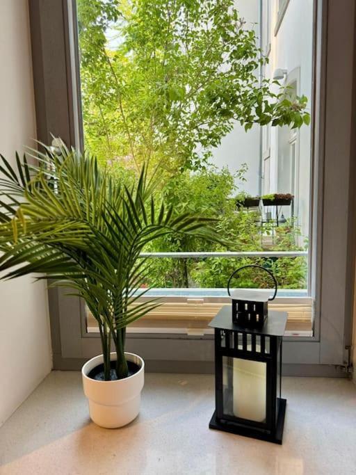 Gemuetliches Apartment Im Herzen Detmolds Экстерьер фото