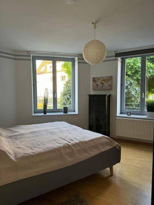 Gemuetliches Apartment Im Herzen Detmolds Экстерьер фото
